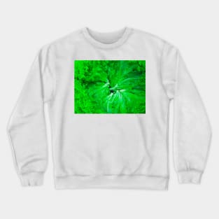 Lettuce green salad leafs arranged in a circle Crewneck Sweatshirt